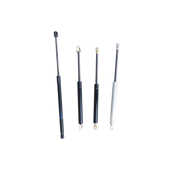 gas strut bed lift