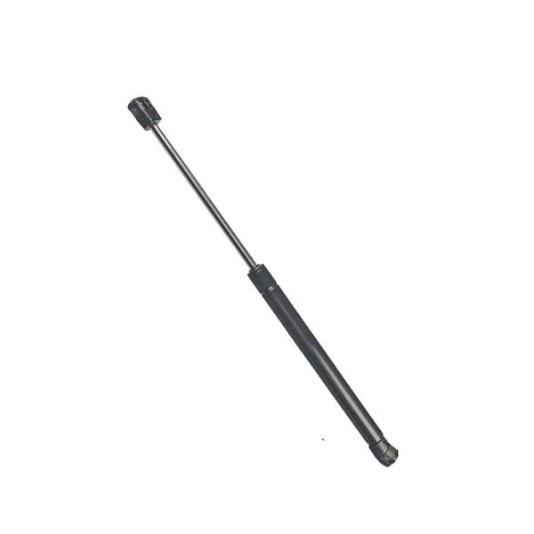 weather guard gas struts