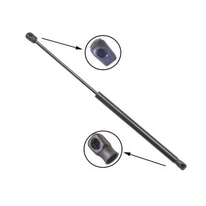 Ford Edge Liftgate Strut