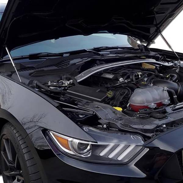 bmw hood shocks