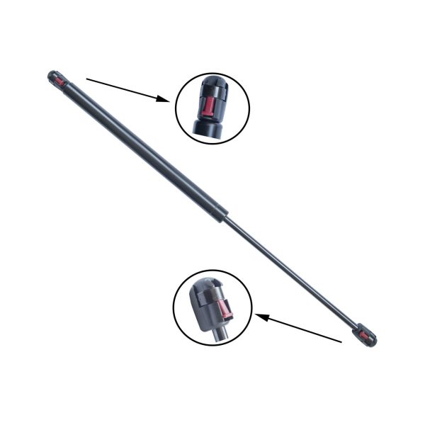 rear tailgate struts
