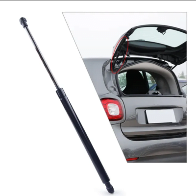 heckklappendampfer smart 451