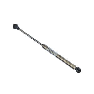 stainless gas struts