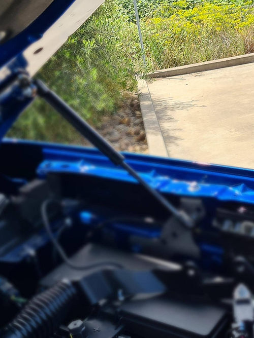 hydraulic bonnet struts
